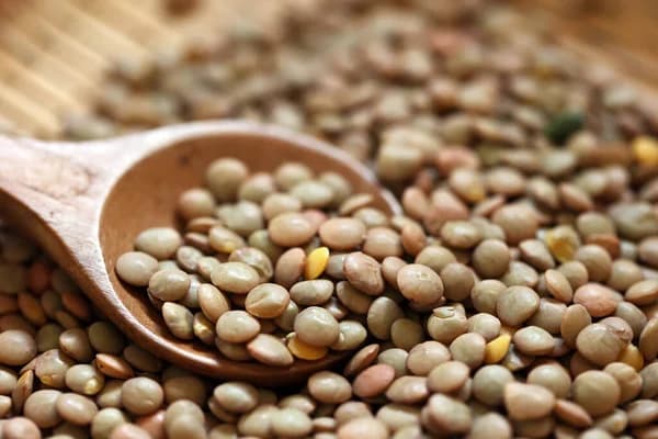 Lentils